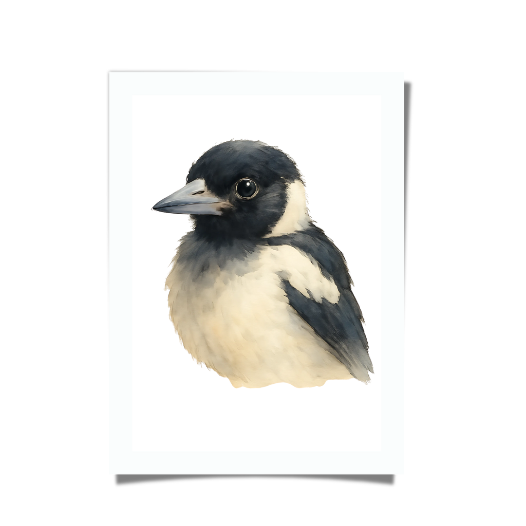 Watercolour baby magpie illustration, Australian bird nursery décor